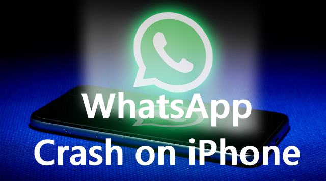 WhatsApp Keeps Crashing on iPhone
