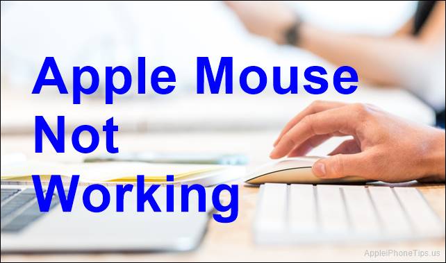 Apple Mouse Not Working
